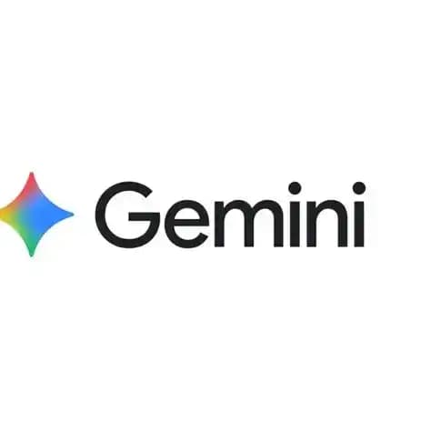 Gemini pro